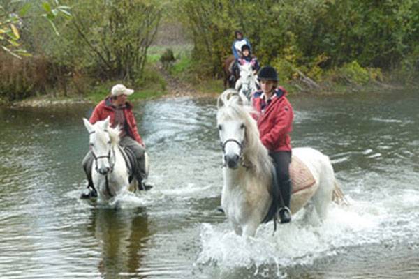 Rutas a caballo en el Río Tormes